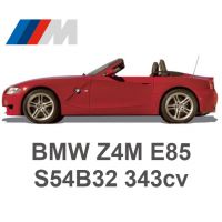 BMW Z4M E85 343cv S54B32 2006-2008