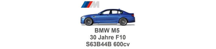 BMW M5 30 jaar F10 600 pk S63B44B 2014-2016
