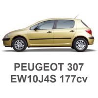 PEUGEOT 307 2.0 16V 177cv EW10J4S 2003-2009