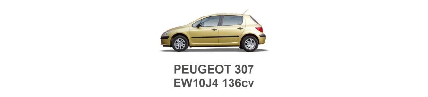 PEUGEOT 307 2.0 16V 136 PS EW10J4 2000-2005