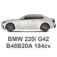 BMW 220i G42 184cv B48B20A 2021-