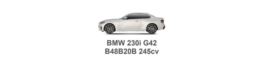 BMW 230i G42 245cv B48B20B 2021-