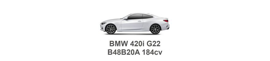 BMW 420i G22 184 PS B48B20A 2020- BMW 420i G22 184 PS B48B20A 2020-
