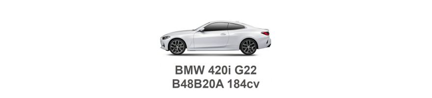 BMW 420i G22 184cv B48B20A 2020-