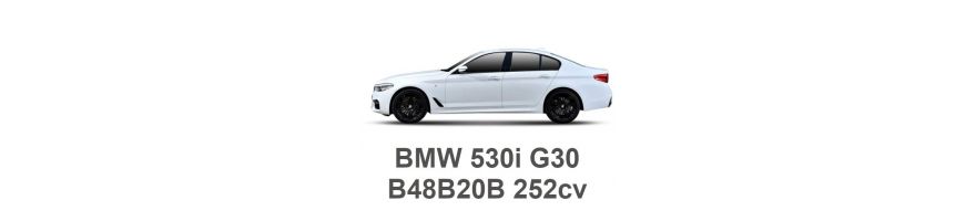 BMW 530i G30 252CV B48B20B 2016-2020