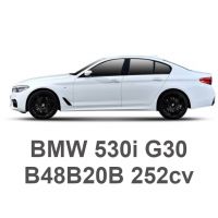 BMW 530i G30 252CV B48B20B 2016-2020