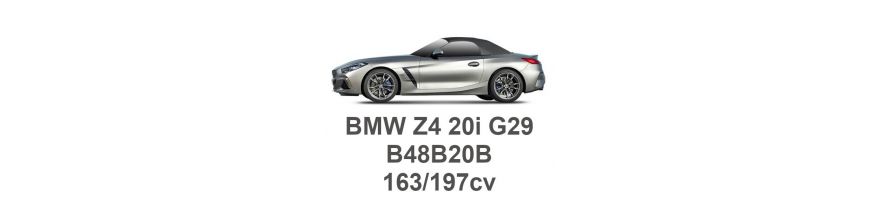 BMW Z4 20i G29 163/197cv B48B20B 2018-