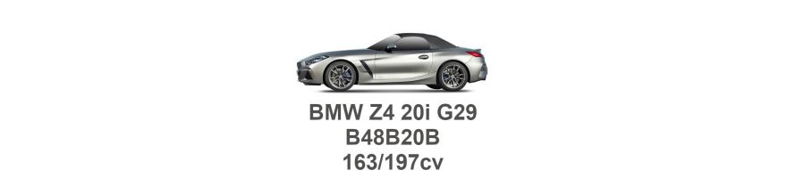 BMW Z4 20i G29 163/197 CV B48B20B 2018-