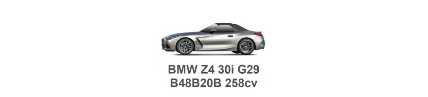 BMW Z4 30i G29 258 pk B48B20B 2018- BMW Z4 30i G29 258 pk B48B20B 2018-
