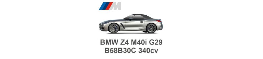 BMW Z4 M40i G29 340 PS B58B30C 2018- BMW Z4 M40i G29 340 PS B58B30C 2018-