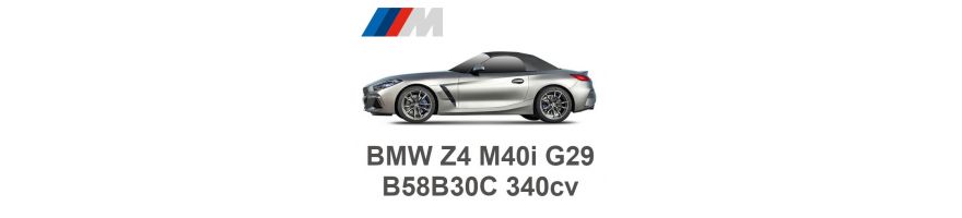 BMW Z4 M40i G29 340cv B58B30C 2018-