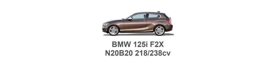 BMW 125i F20/F21 218/238cv N20B20 2011-2019