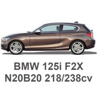 BMW 125i F20/F21 218/238cv N20B20 2011-2019