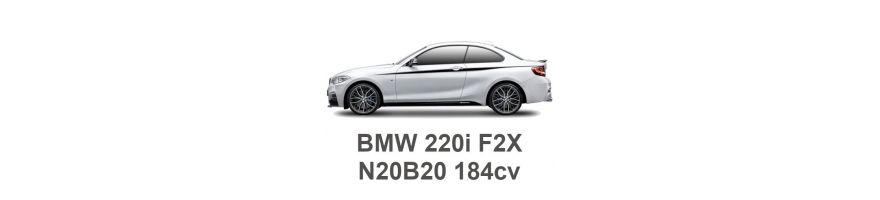BMW 220i F22/F23 184 pk N20B20 2013-2021 BMW 220i F22/F23 184 pk N20B20 2013-2021