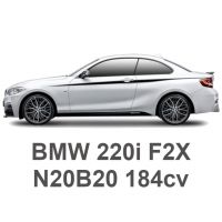 BMW 220i F22/F23 184cv N20B20 2013-2021