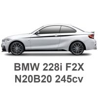 BMW 228i F22/F23 245cv N20B20 2014-2016