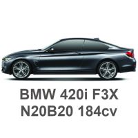 BMW 420i F32/F33/F36 184CV N20B20 2013-2017