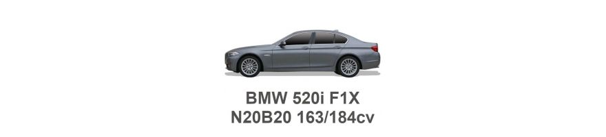 BMW 520i F10/F11 163/184 pk N20B20 2010-2017