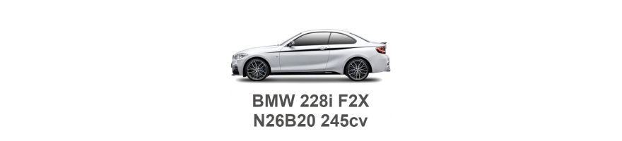 BMW 228i F22 245cv N26B20 2014-2016