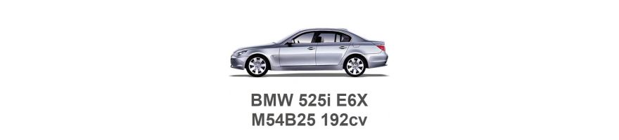 BMW 525i E60/E61 192CV M54B25 2003-2010