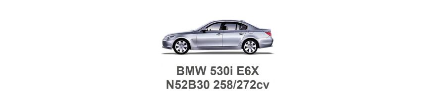 BMW 530i E60 258/272CV N52B30 2004-2010 BMW 530i E60 258/272CV N52B30 2004-2010