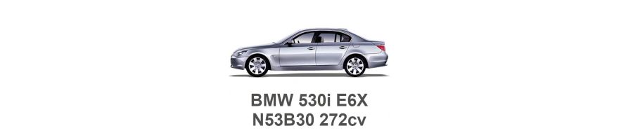 BMW 530i E60 272 pk N53B30 2007-2010 BMW 530i E60 272 pk N53B30 2007-2010