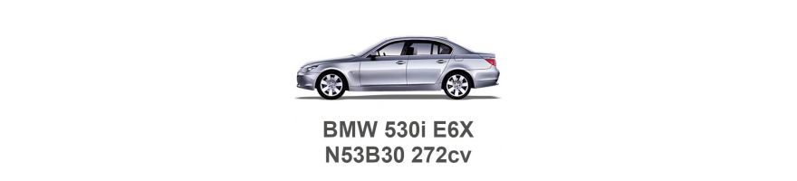 BMW 530i E60 272CV N53B30 2007-2010