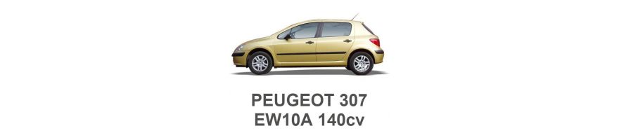 PEUGEOT 307 2.0 16V 140cv EW10A 2004-2009