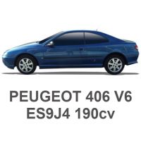 PEUGEOT 406 V6 190cv ES9J4 1996-2004