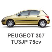 PEUGEOT 307 1.4 8V 75 PS TU3JP 2000-2003