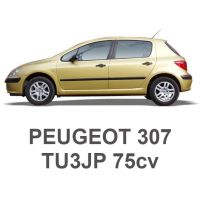 PEUGEOT 307 1.4 8V 75cv TU3JP 2000-2003