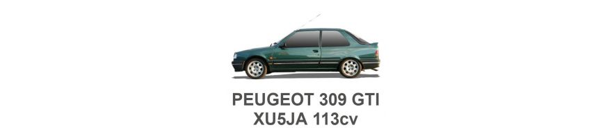 PEUGEOT 309 GTI 113cv XU5JA 1986-1989