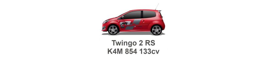 RENAULT Twingo 2 RS 133cv K4M 854 2008-2014