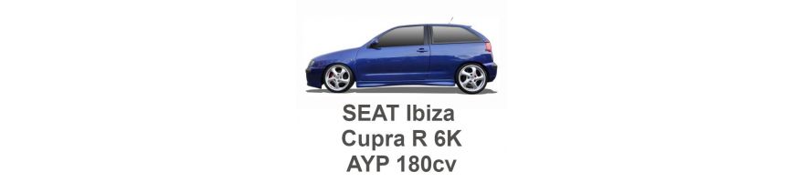 SEAT Ibiza Cupra R 6K 1.8T 180 PS AYP 2000-2002
