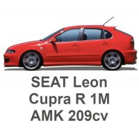 SEAT Leon Cupra R 1M 1.8T 209 PS AMK 2002-2006