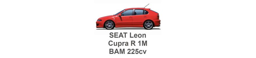 SEAT Leon Cupra R 1M 1.8T 225 PS BAM 2003-2006