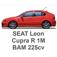 SEAT Leon Cupra R 1M 1.8T 225 PS BAM 2003-2006