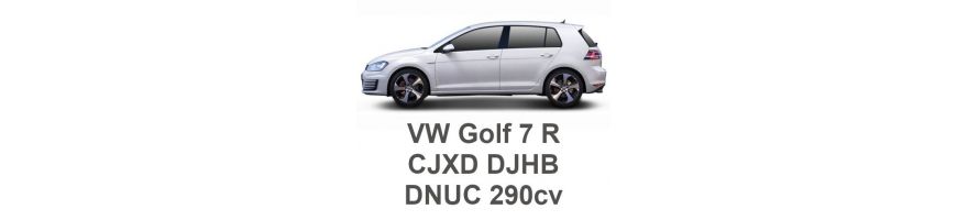 VW Golf 7 R 290cv CJXD DJHB DNUC 2016-2020