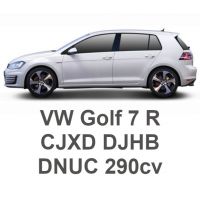 VW Golf 7 R 290cv CJXD DJHB DNUC 2016-2020