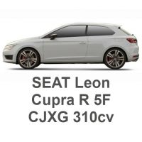 SEAT Leon CUPRA R 5F 2.0 TFSI 310cv CJXG 2017-2018