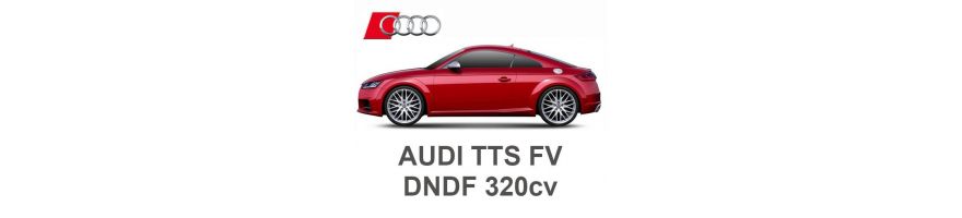 AUDI TTS FV 2.0 TFSI 320cv DNFD 2020-