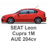 SEAT Leon Cupra 1M VR6 2,8 204cv AUE 2001-2006