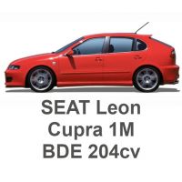 SEAT Leon Cupra 1M VR6 2.8 204cv BDE 2001-2006