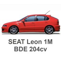 SEAT Leon 1M VR6 2.8 204 PS BDE 2002-2004