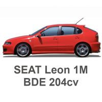 SEAT Leon 1M VR6 2.8 204cv BDE 2002-2004