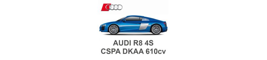 AUDI R8 V10 5.2 FSI 610hp CSPA DKAA 2015-