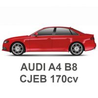 AUDI A4 B8 1.8 TFSI 170 PS CJEB 2011-2015