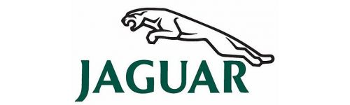 JAGUAR - Replacement Air Filter