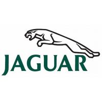 JAGUAR - Vervangend luchtfilter