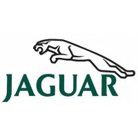 JAGUAR - Filtre à air de remplacement